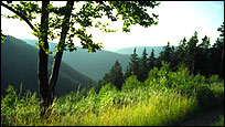 Landschaft Frankenwald
