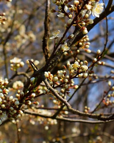 Naturpark Erlebnisse im April