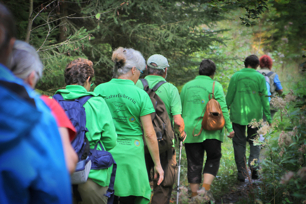 Eine Wandergruppe läuft auf einem engen Pfad durch den Wald. Sie tragen grüne T-Shirts mit dem Schriftzug "Naturführer".