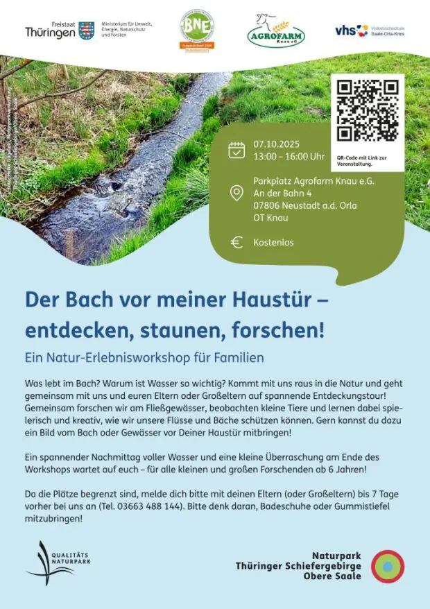 Deer Bach vor meiner Haustür