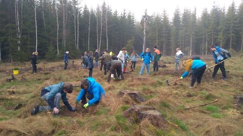 viele Menschen auf einer Wiese, die Bäumchen pflanzen