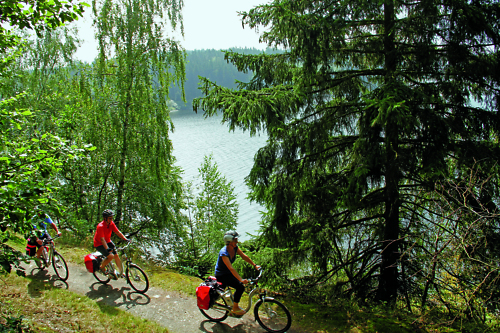 Radfahrer die einen Radwanderweg entlang fahren, im Hintergrund Bäume und teilweise eine See zu sehen